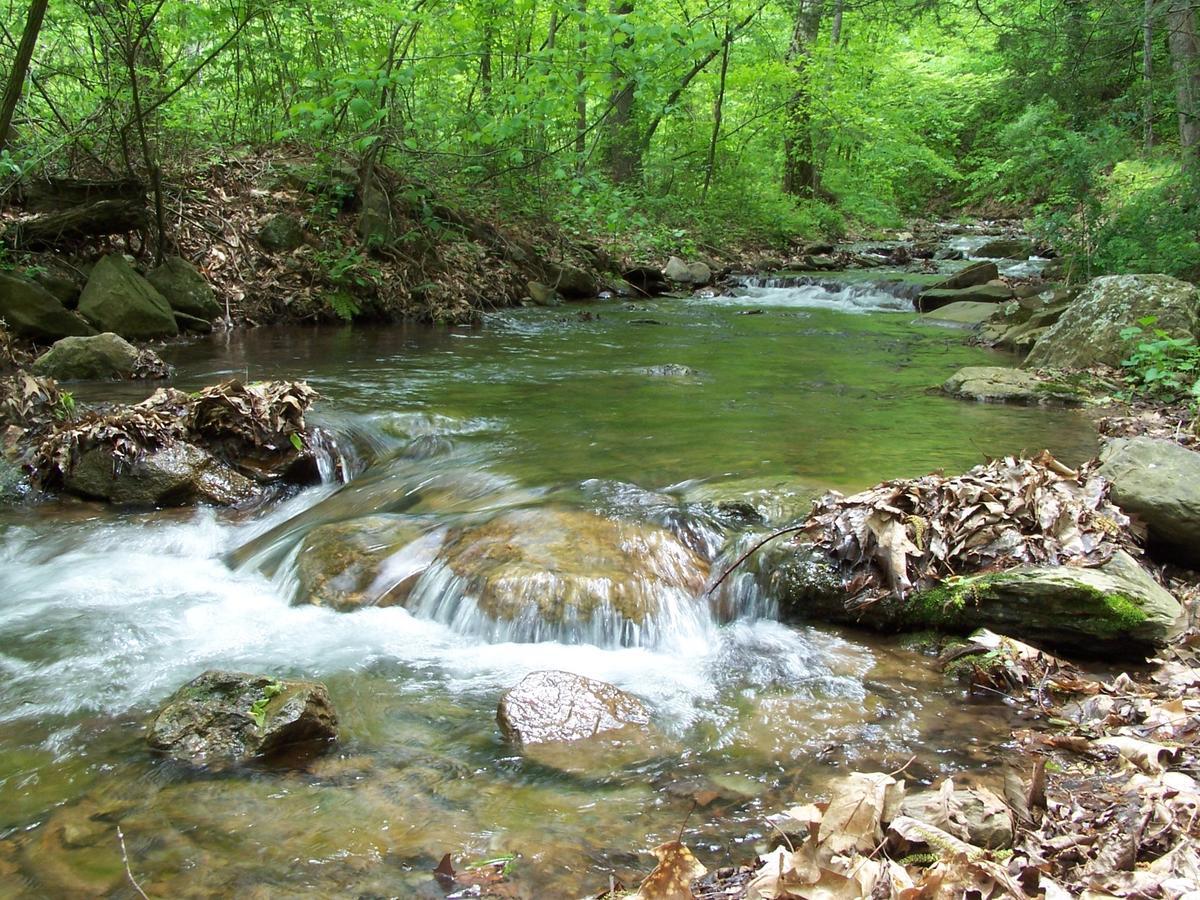Cabin Creekwood Lyndhurst Экстерьер фото