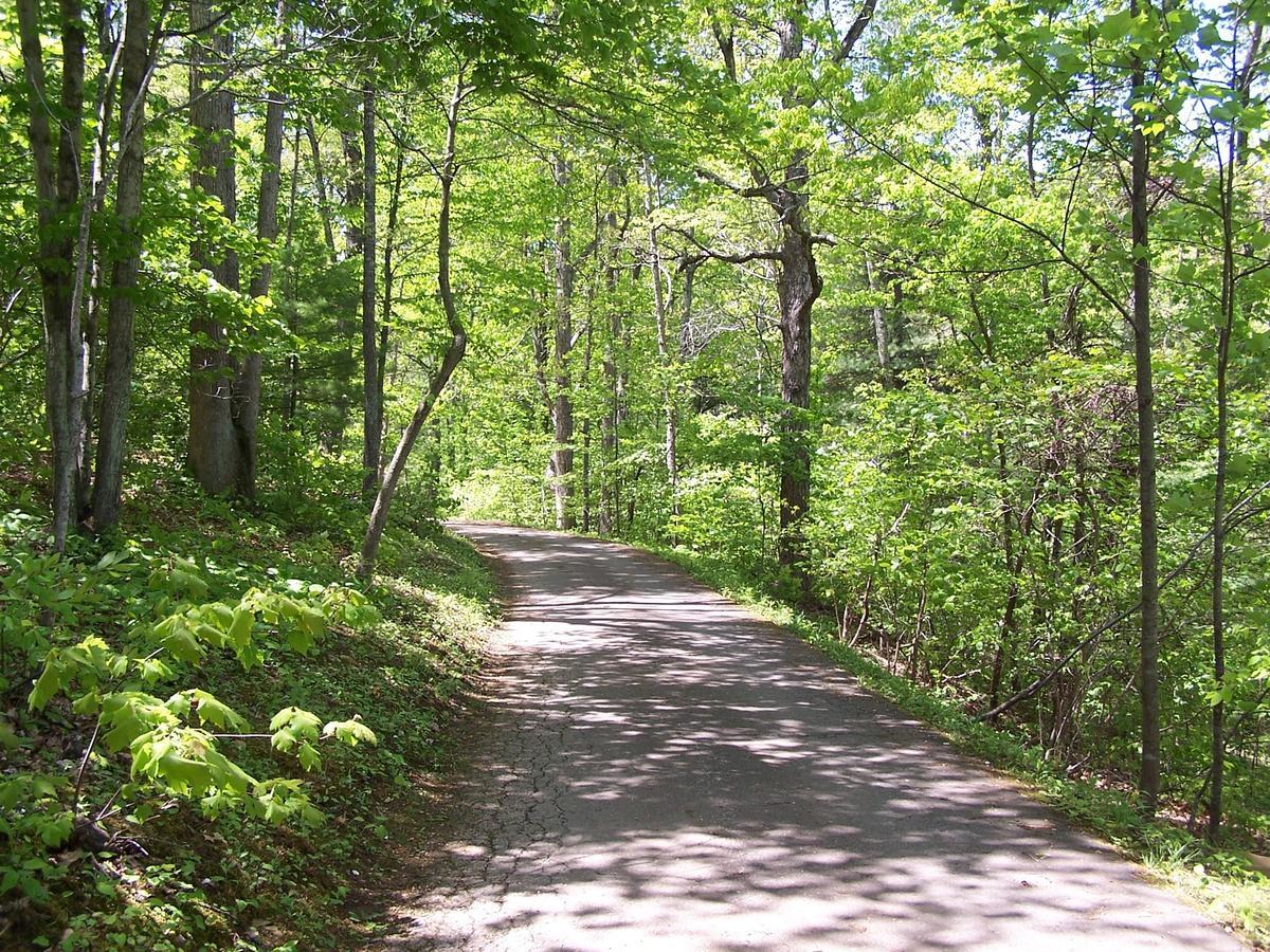 Cabin Creekwood Lyndhurst Экстерьер фото