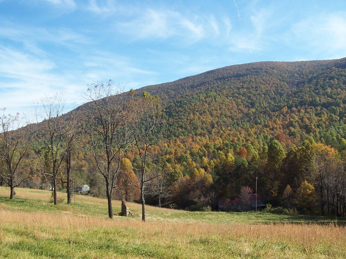 Cabin Creekwood Lyndhurst Экстерьер фото